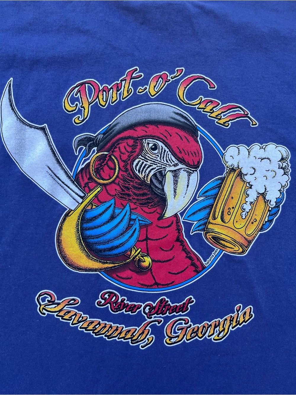 Savannah Georgia Parrot Graphic Short Sleeve Tee - Blue